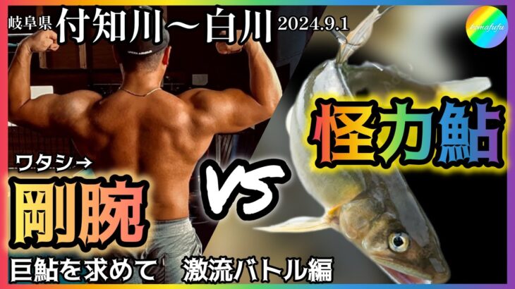 【鮎釣り】付知川、白川（岐阜県）｜2024.9.1（日）【友釣り】