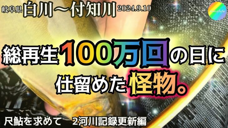 【鮎釣り】白川、付知川（岐阜県）｜2024.9.10（火）【友釣り】