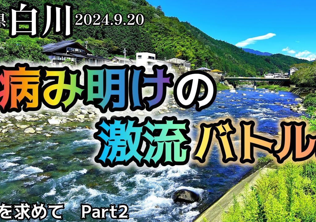 【鮎釣り】白川（岐阜県）｜2024.9.20（金）【友釣り】