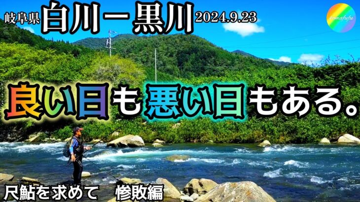 【鮎釣り】白川、黒川（岐阜県）｜2024.9.23（月）【友釣り】