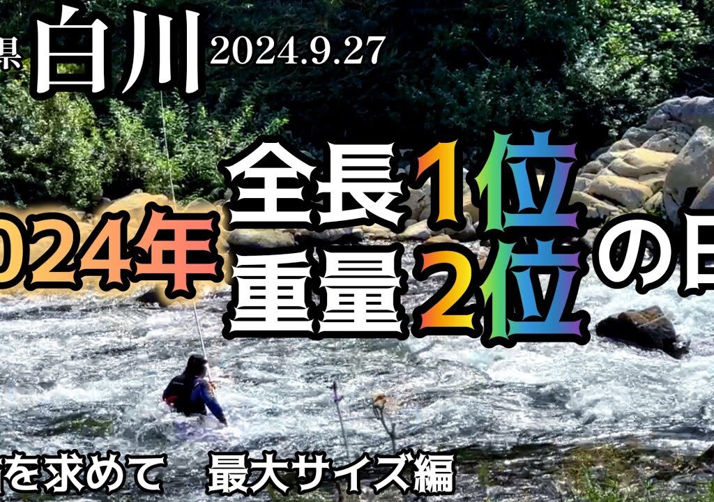 【鮎釣り】白川（岐阜県）｜2024.9.27（金）【友釣り】