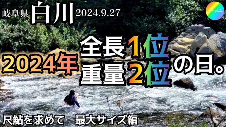 【鮎釣り】白川（岐阜県）｜2024.9.27（金）【友釣り】
