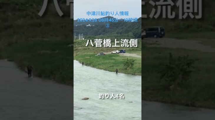 中津川鮎釣り人情報 2024.9.28 08時45分〜10時頃  ③
