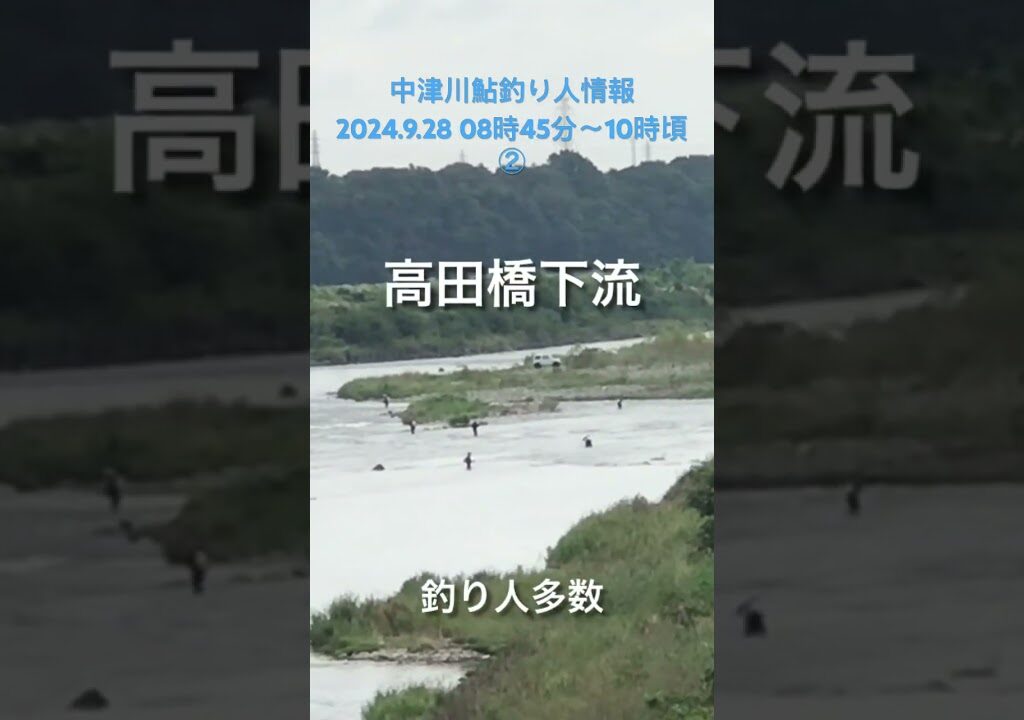 中津川鮎釣り人情報 2024.9.28  08時45分〜10時頃 ②