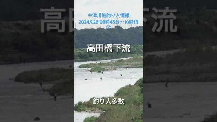 中津川鮎釣り人情報 2024.9.28  08時45分〜10時頃 ②