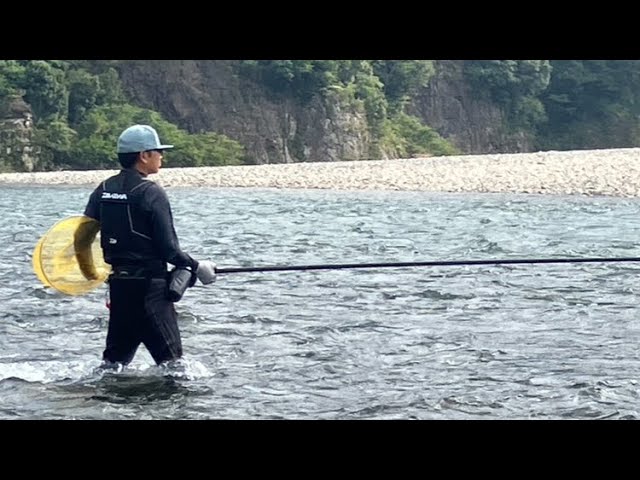 【鮎釣り】2024.9.4 北山川本流の幕開け　レベルMAXの流れに油断禁物！