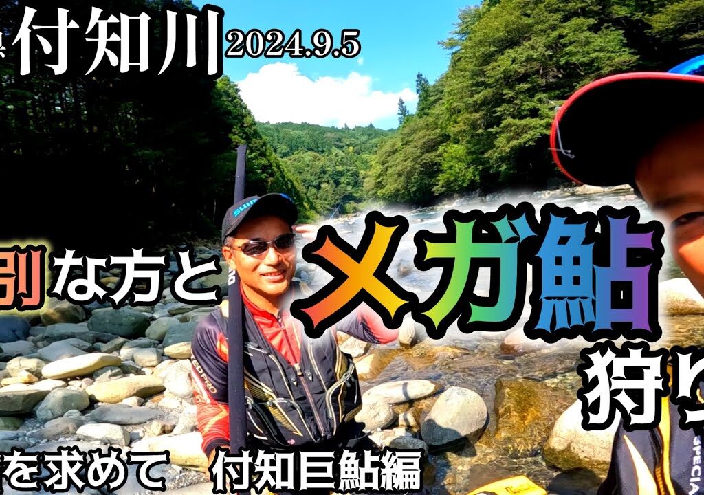 【鮎釣り】付知川（岐阜県）｜2024.9.5（木）【友釣り】
