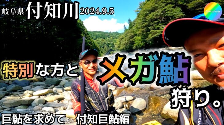 【鮎釣り】付知川（岐阜県）｜2024.9.5（木）【友釣り】