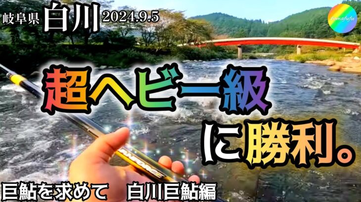 【鮎釣り】白川（岐阜県）｜2024.9.5（木）【友釣り】