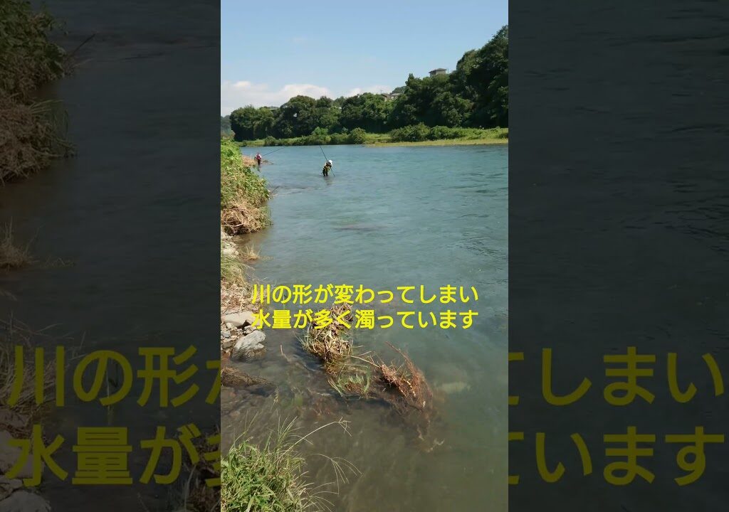 【鮎釣り】2024.9.6 桂川 松留 川の状況#shorts