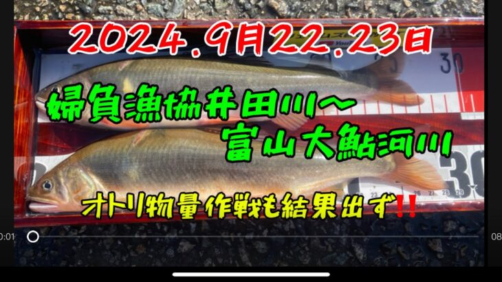 2024.9月22.23 オトリ物量作戦で富山大鮎河川行ってみた❗️  #釣り#鮎釣り #鮎#サンテック #サンライン#サンラインフィールドテスター #pr#capcut