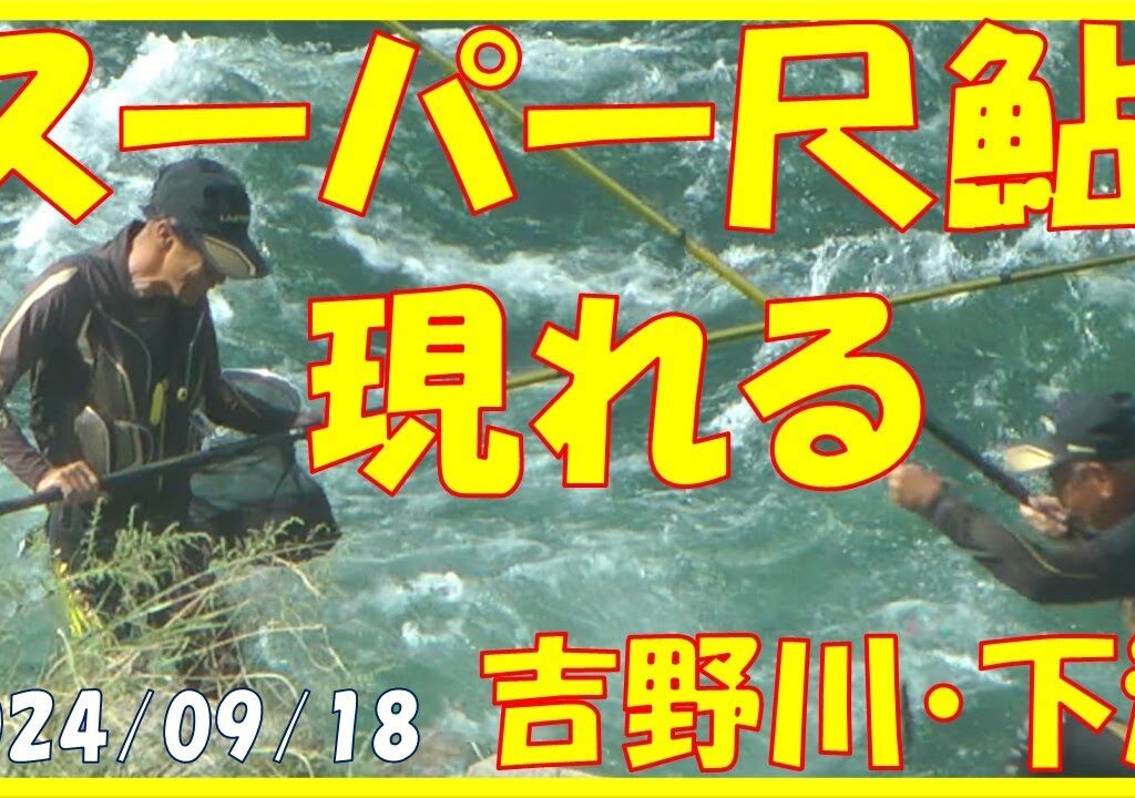 2024/09/18【スーパー尺鮎現れる！】(吉野川・下流)  釣れたらいいね！なんちゃんチャンネル