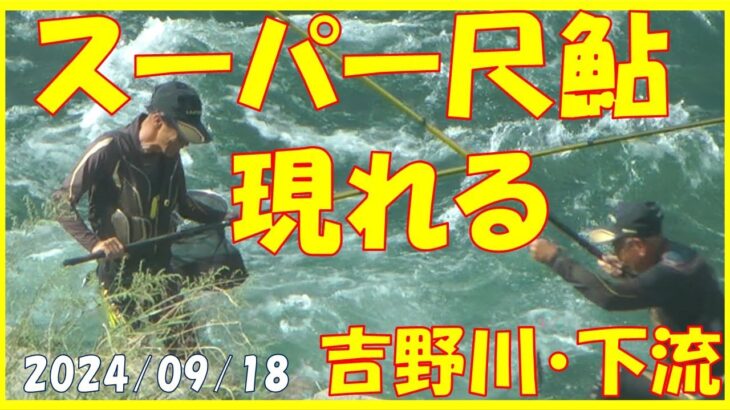 2024/09/18【スーパー尺鮎現れる！】(吉野川・下流)  釣れたらいいね！なんちゃんチャンネル