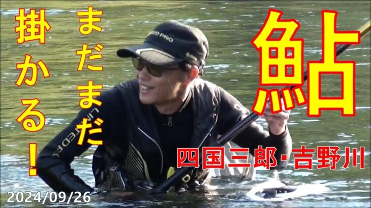 2024/09/26  四国三郎・吉野川【尺鮎を求めて！】釣れたらいいね！なんちゃんチャンネル