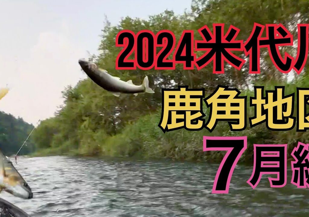 米代川で鮎釣り 2024振り返り7月編