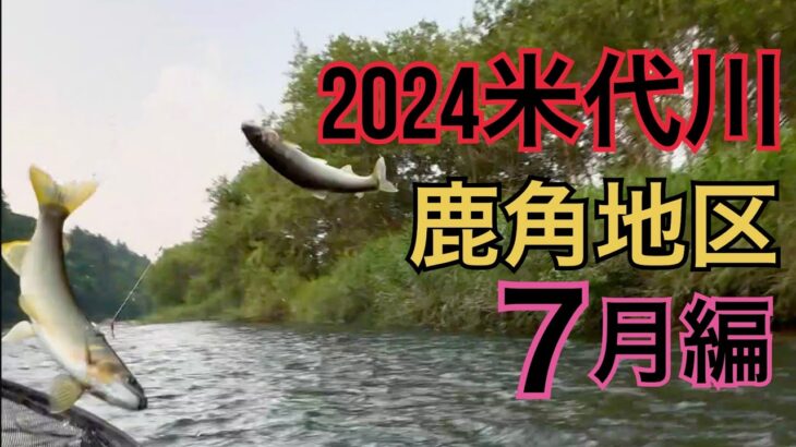 米代川で鮎釣り 2024振り返り7月編