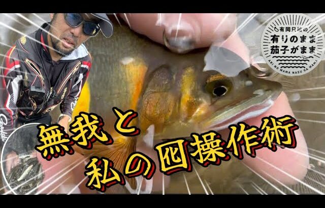 【鮎釣り】2024/7/9  水中の囮イメージ大事！