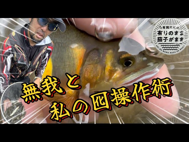 【鮎釣り】2024/7/9  水中の囮イメージ大事！