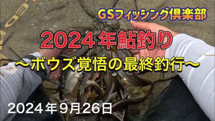 《鮎釣り》2024年鮎釣り。ボウズの覚悟の最終釣行　85早瀬クラス【Vol.29】GSフィッシング倶楽部