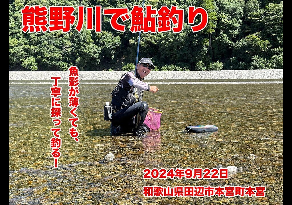 2024年9月22日熊野川で鮎釣り