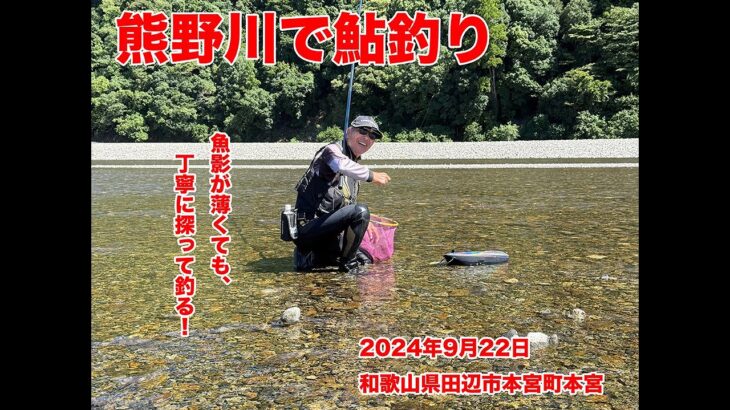 2024年9月22日熊野川で鮎釣り