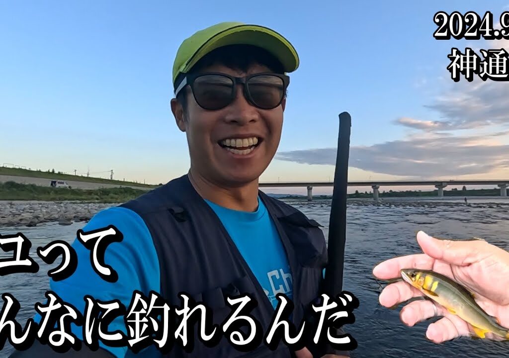 初心者でも天然アユが釣れまくる凄い川に行ってみた。2024年9月26日 富山県神通川で友釣りの入れ掛かりを経験する。