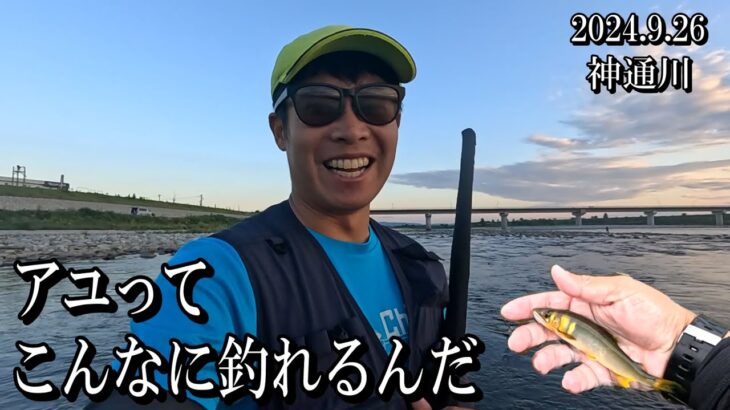 初心者でも天然アユが釣れまくる凄い川に行ってみた。2024年9月26日 富山県神通川で友釣りの入れ掛かりを経験する。