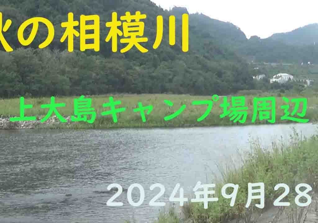 秋の相模川・上大島キャンプ場周辺を見てきました。 #小倉橋 #上大島キャンプ場 #友釣り #アユ釣り #ドブ釣り　2024年9月28日