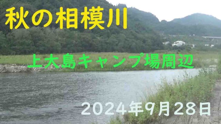 秋の相模川・上大島キャンプ場周辺を見てきました。 #小倉橋 #上大島キャンプ場 #友釣り #アユ釣り #ドブ釣り　2024年9月28日