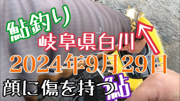 鮎釣り　2024年9月29日　岐阜県白川　流されたオトリ缶が見つかる