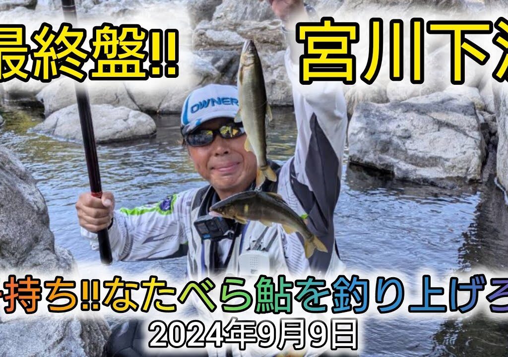 最終盤の宮川下流‼️子持ち‼️なたべら鮎を釣り上げろ‼️2024年9月9日
