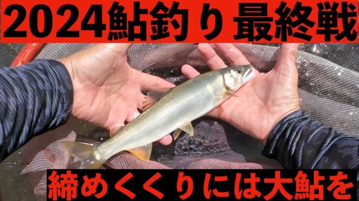 【鮎釣り】2024年　鮎最終戦もCCで　宮崎の鮎釣り＃24