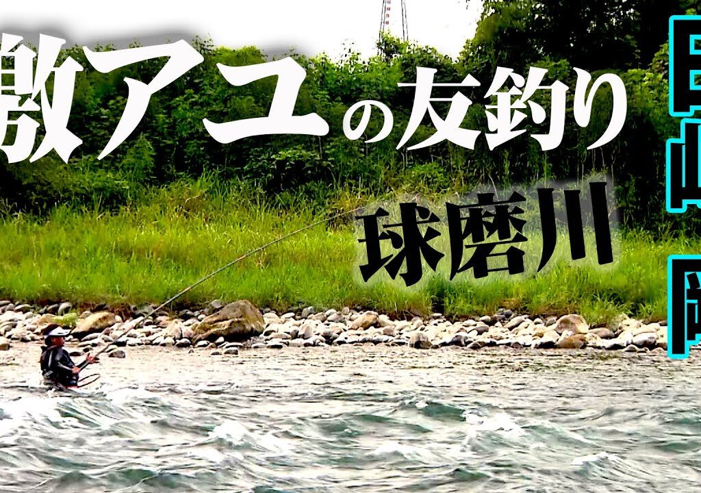 【鮎釣り】球磨川の激流で育ったパワフルなアユを釣る 2/2 『[解] 鮎2019 田嶋 剛×球磨川で楽しむ激アユ』イントロver.【釣りビジョン】その②