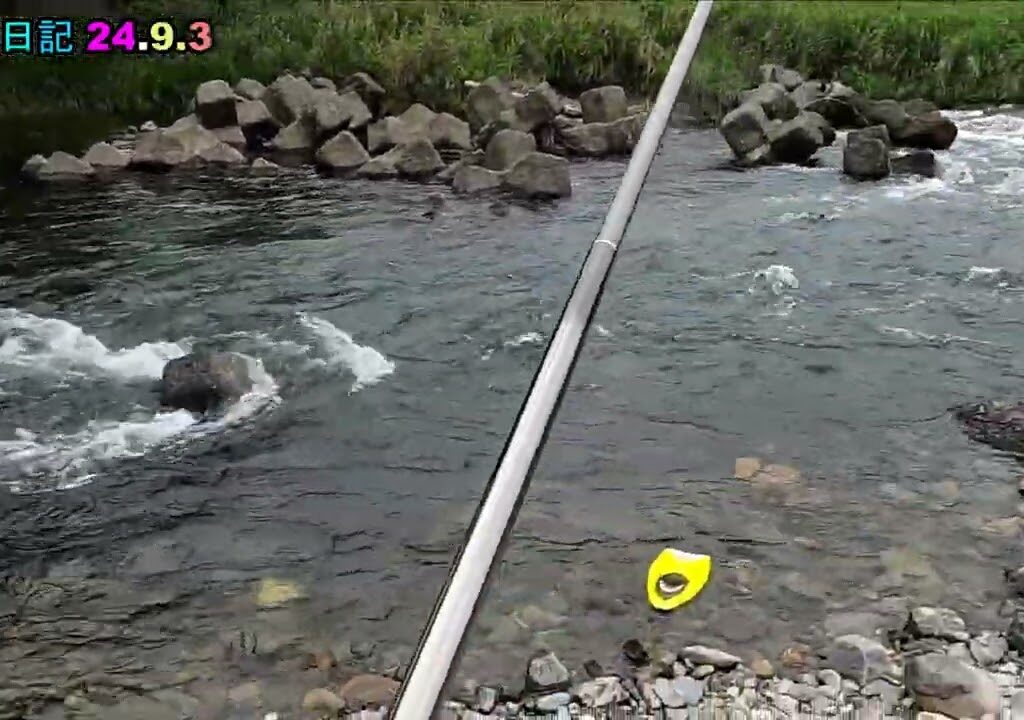 鮎釣り日記 24 9 3