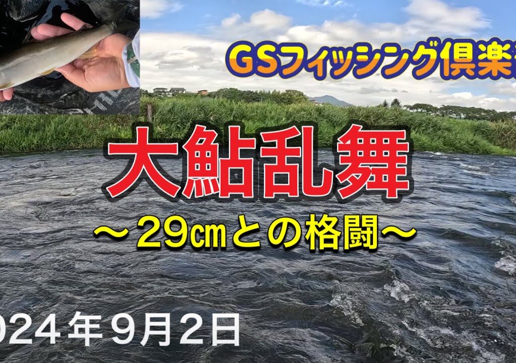 《鮎釣り》大鮎乱舞。初めての河川で29㎝との格闘。アバンサー【Vol.24】GSフィッシング倶楽部