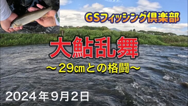 《鮎釣り》大鮎乱舞。初めての河川で29㎝との格闘。アバンサー【Vol.24】GSフィッシング倶楽部