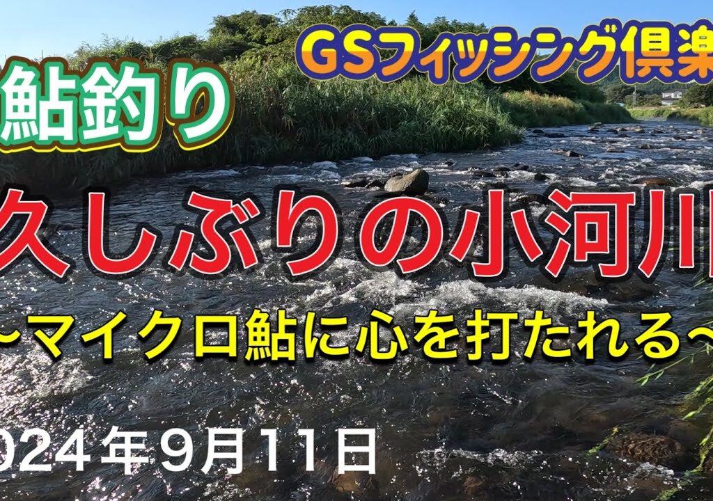 《鮎釣り》久しぶりの小河川！マイクロ鮎に心を打たれる。アバンサー75M【Vol.27】GSフィッシング倶楽部