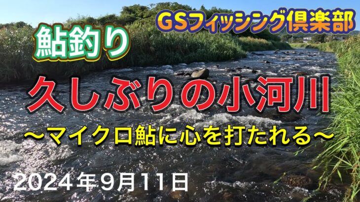 《鮎釣り》久しぶりの小河川！マイクロ鮎に心を打たれる。アバンサー75M【Vol.27】GSフィッシング倶楽部