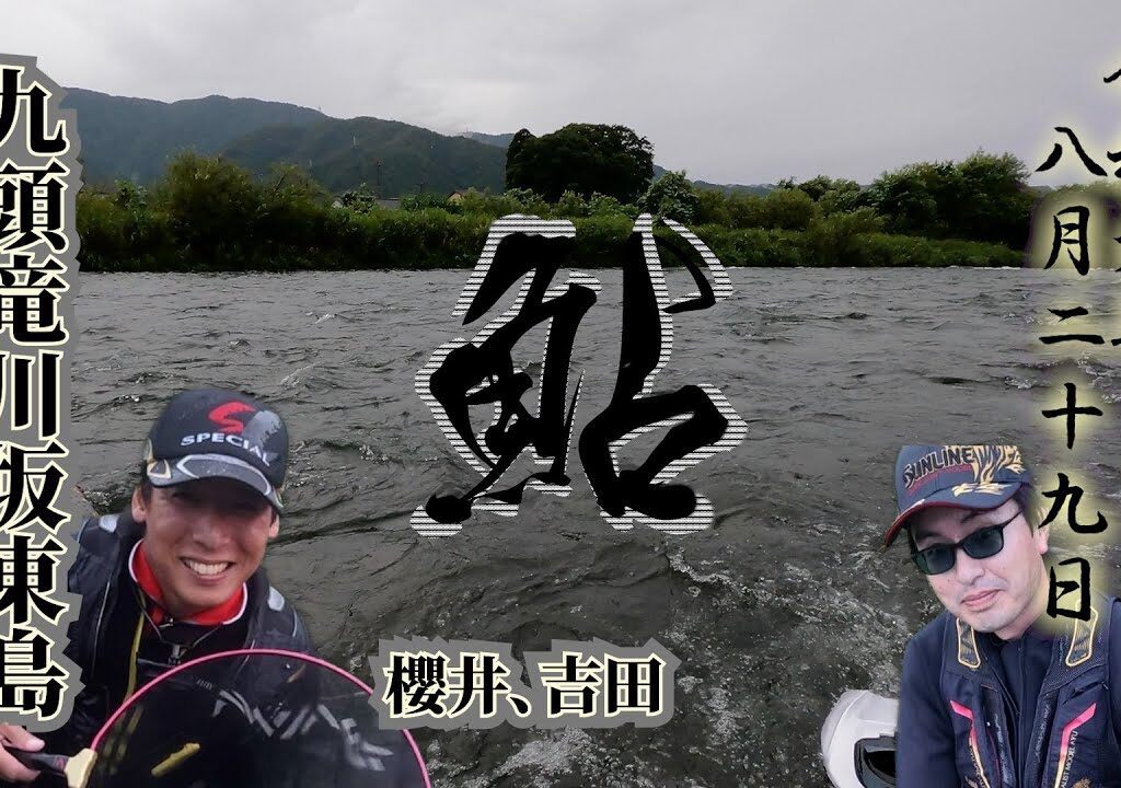 8月29日「九頭竜川坂東島」鮎