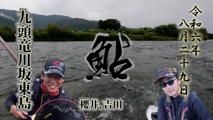 8月29日「九頭竜川坂東島」鮎