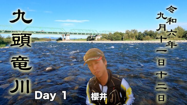 9月11日　12日　九頭竜川中部五松橋周辺　鮎