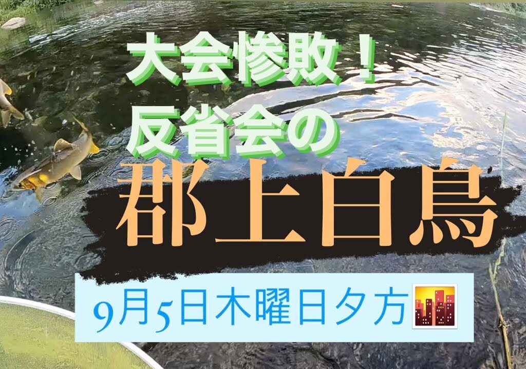 鮎釣り　9月5日郡上白鳥にて大鮎泳がせ釣り　シマノU-35お疲れ様でした！！