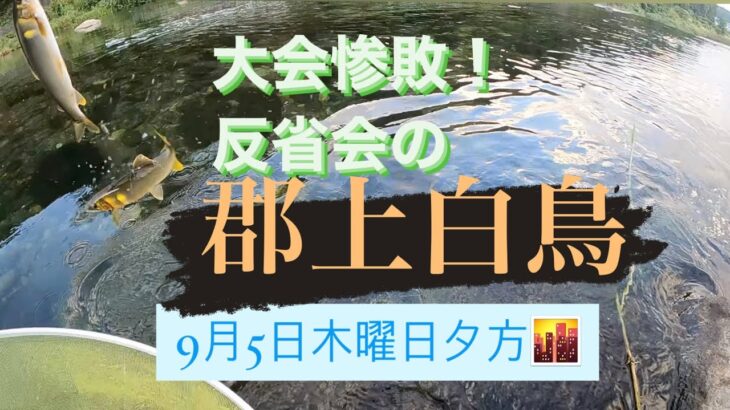 鮎釣り　9月5日郡上白鳥にて大鮎泳がせ釣り　シマノU-35お疲れ様でした！！