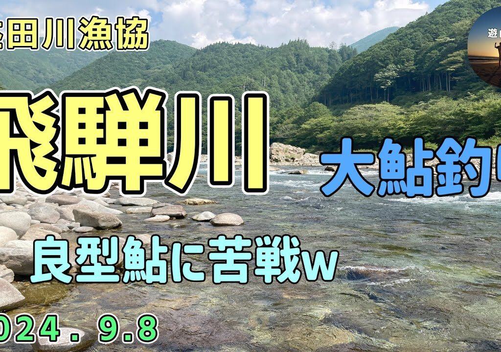 益田川漁協　飛騨川　鮎釣り　大鮎狙い！良型アユに苦戦！？　9月8日