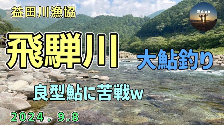 益田川漁協　飛騨川　鮎釣り　大鮎狙い！良型アユに苦戦！？　9月8日