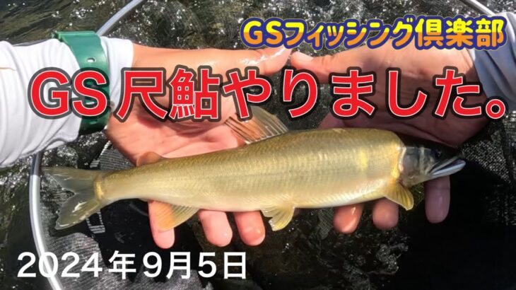 《鮎釣り》GS尺鮎やりました。アバンサー【Vol.25】GSフィッシング倶楽部