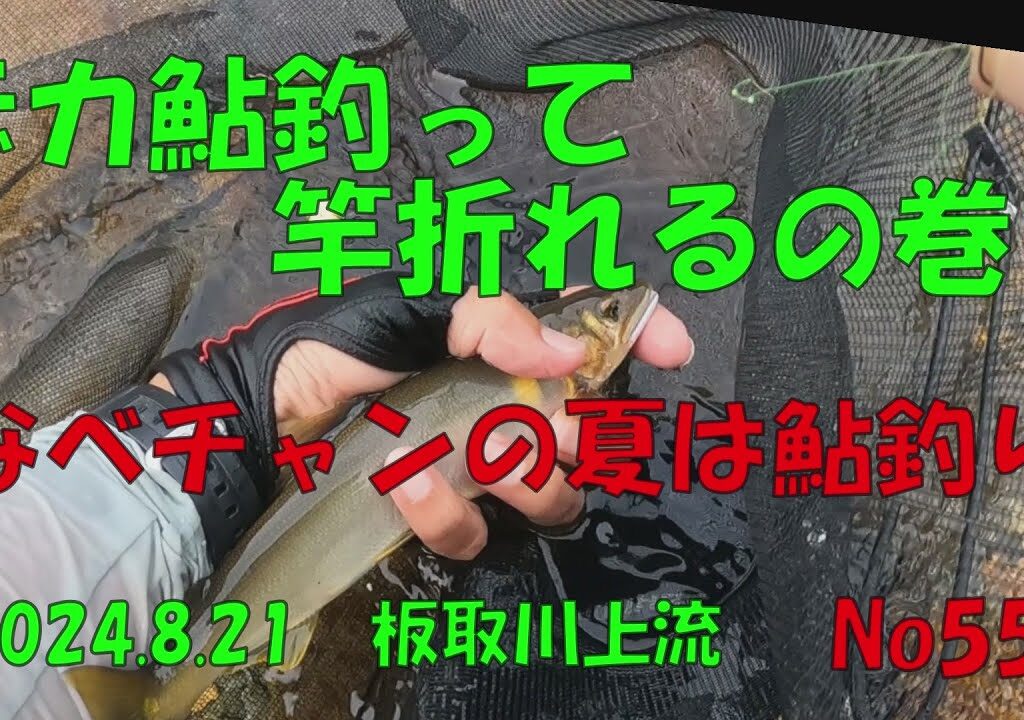 デカ鮎釣って竿折れるの巻‼　なべチャンの夏は鮎釣り　No.55　2024 8 21板取川上流のダム上