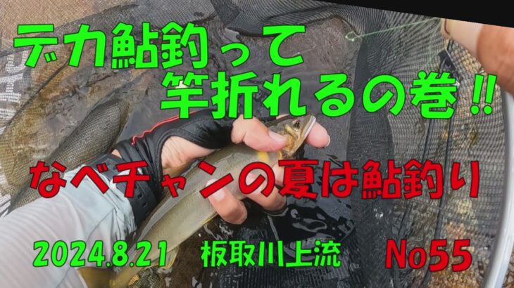 デカ鮎釣って竿折れるの巻‼　なべチャンの夏は鮎釣り　No.55　2024 8 21板取川上流のダム上