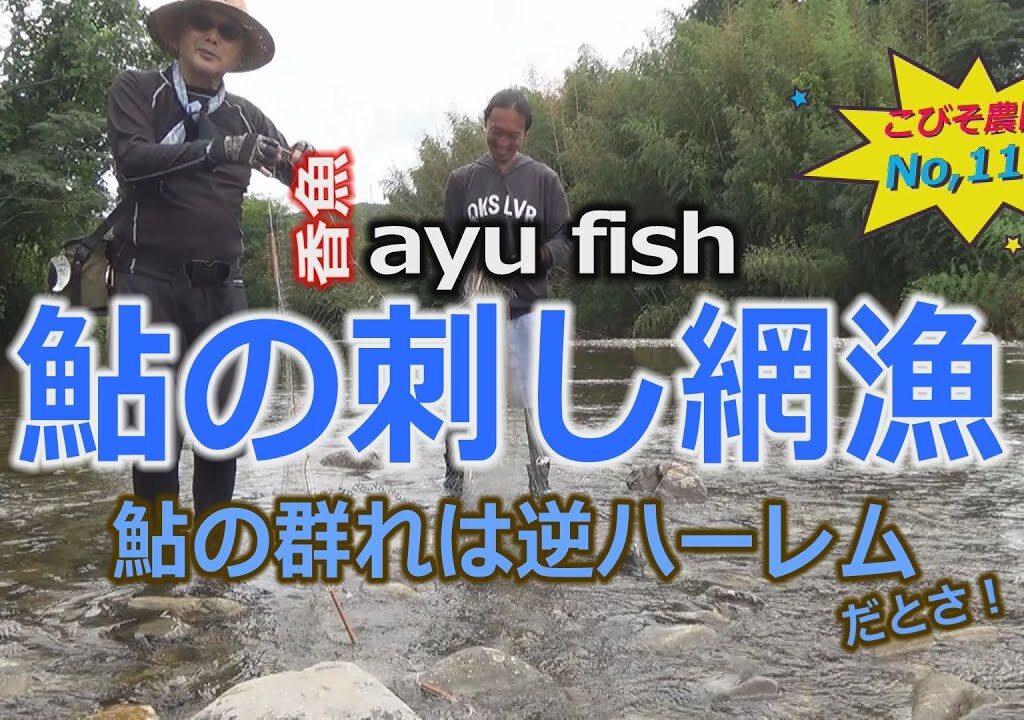 鮎の刺し網漁 こびそ農園 No,115