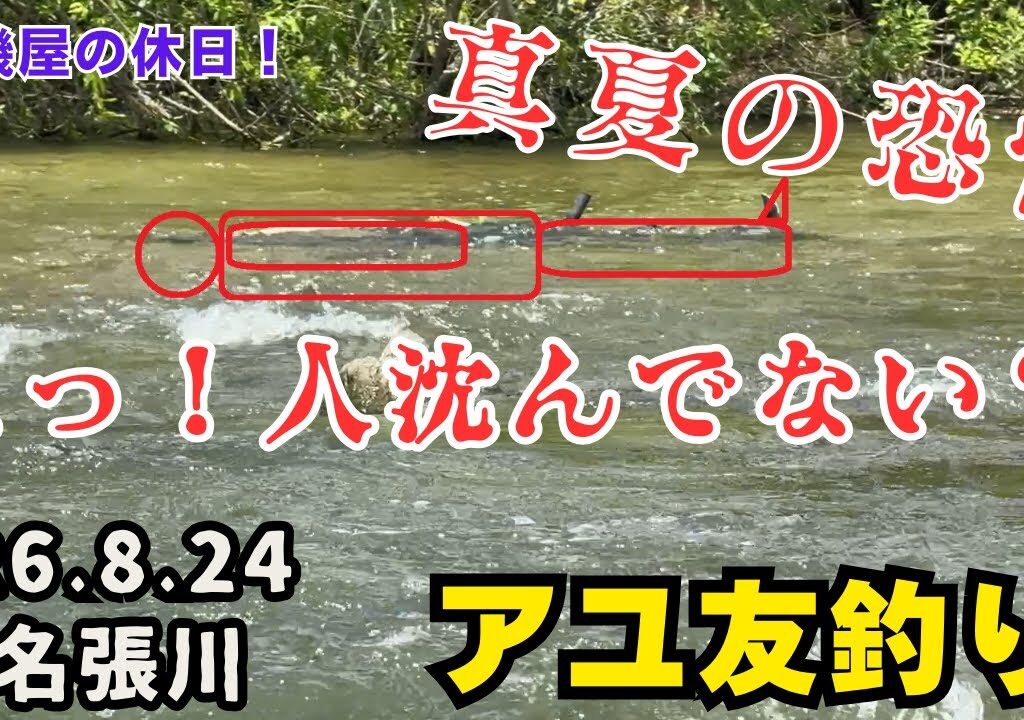 人じゃない？超ビビった！　アユ友釣り名張川　R6.8.24　鮎